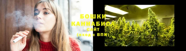 круглые Вяземский