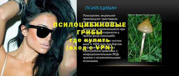 mdpv Горняк